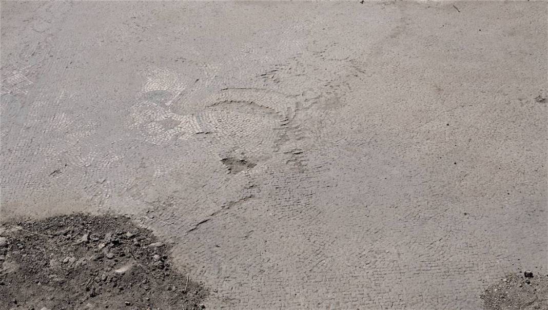 Fidan dikerken servet buldu! Yetkililer akın etti... Tarlayı kazdıkça ne görsünler 4